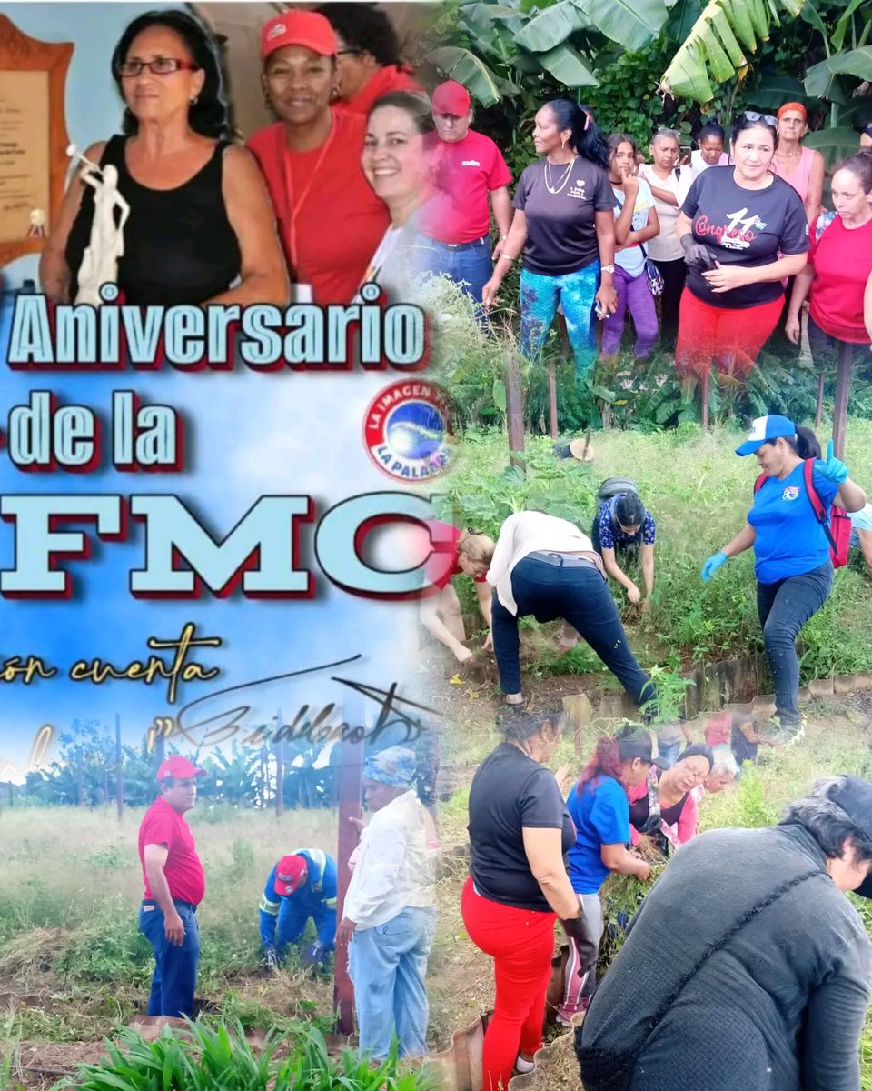 ale6martinez's tweet photo. Excelente jornada productiva en saludo al 64 aniversario de la FMC se desarrolla en el organopónico de Miraflores en #Moa. Masiva respuesta de las federadas preámbulo de la celebración del acto provincial en #HolguinSi.
@AsambleaMoa
@ManolihaHolguin
@QueipoRuiz
@YiganisM https://t.co/ZBhQ24FqLw