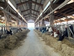 Marie-Sophie Lesne tweet media