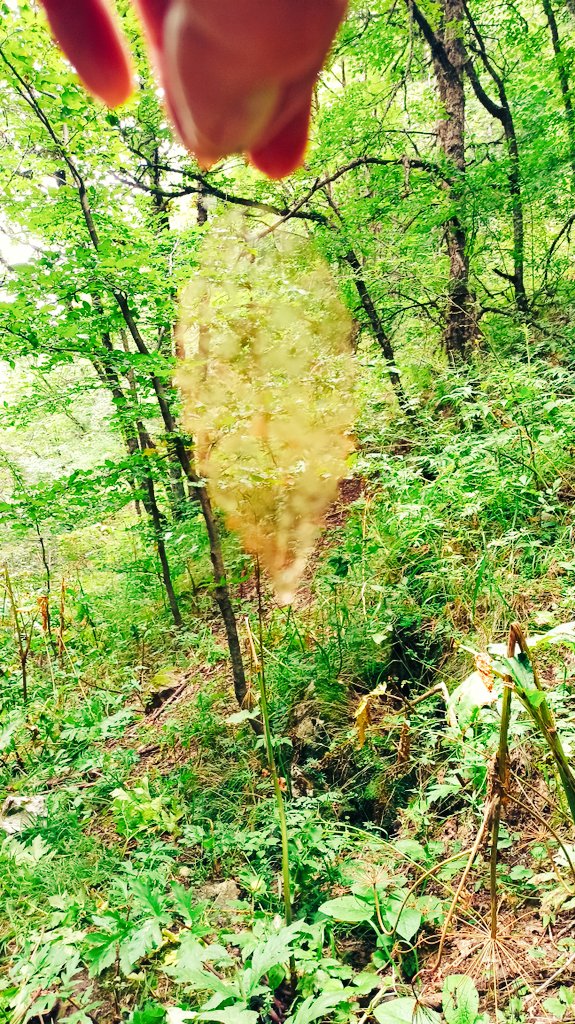 I said, God, what is my crime in this life?... Why am I in so much pain...
He said, your crime is that you only asked me, me...
So to reach me, you have to bear the pain. 
       
 Migratory bird 🕊️🧡

#God#Love#Shams Tabrizi#Rumi#Holy Mary .