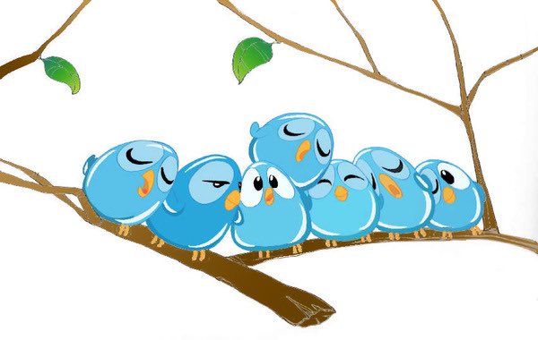 Fátima Martínez tweet media