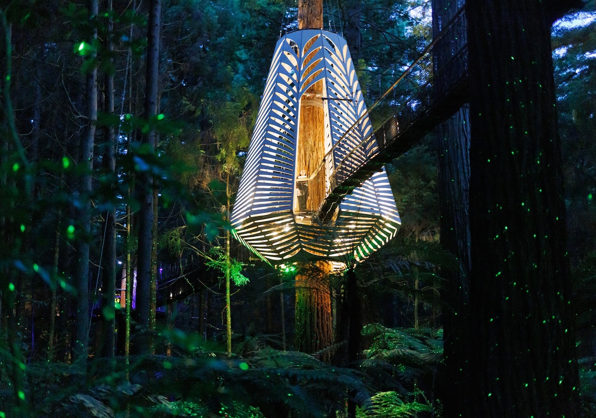 Im Redwood-Wald von Rotorua, Neuseeland, verwandeln leuchtende Baumlaternen und der Horoeka-Pod von Designer David Trubridge den nächtlichen Treewalk in eine magische Lichtwelt: 🌲✨  lilligreen.de/wie-die-baumla… #Rotorua #Treewalk #Lampen #Design #Baumlaternen
