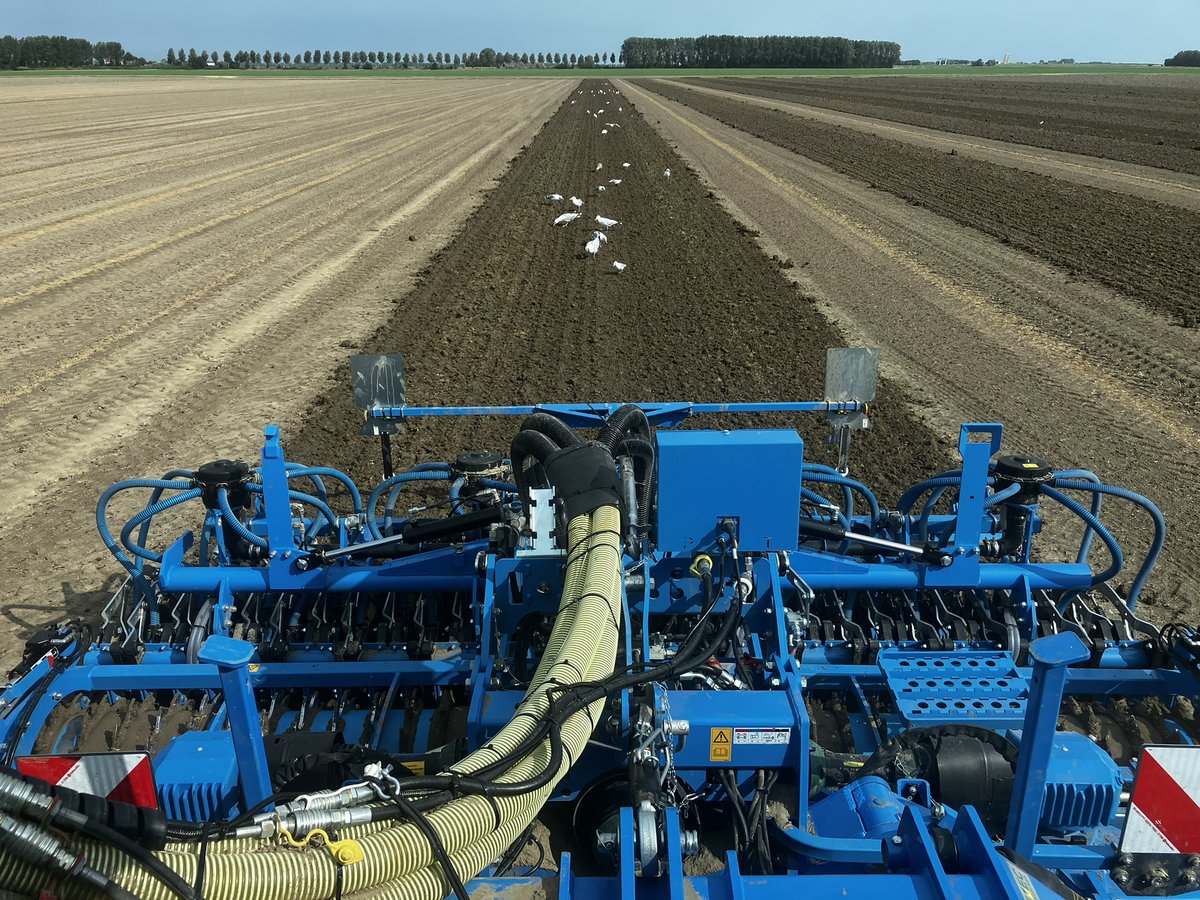 De grond valt mooi na de regen van afgelopen dinsdag. Dus we zaaien nog maar wat groenbemester. #akker #KMWP #agriculture #Fendt