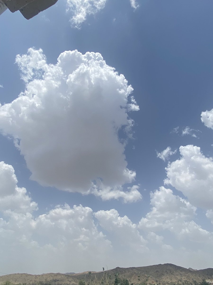 نشوء طازج ☔️