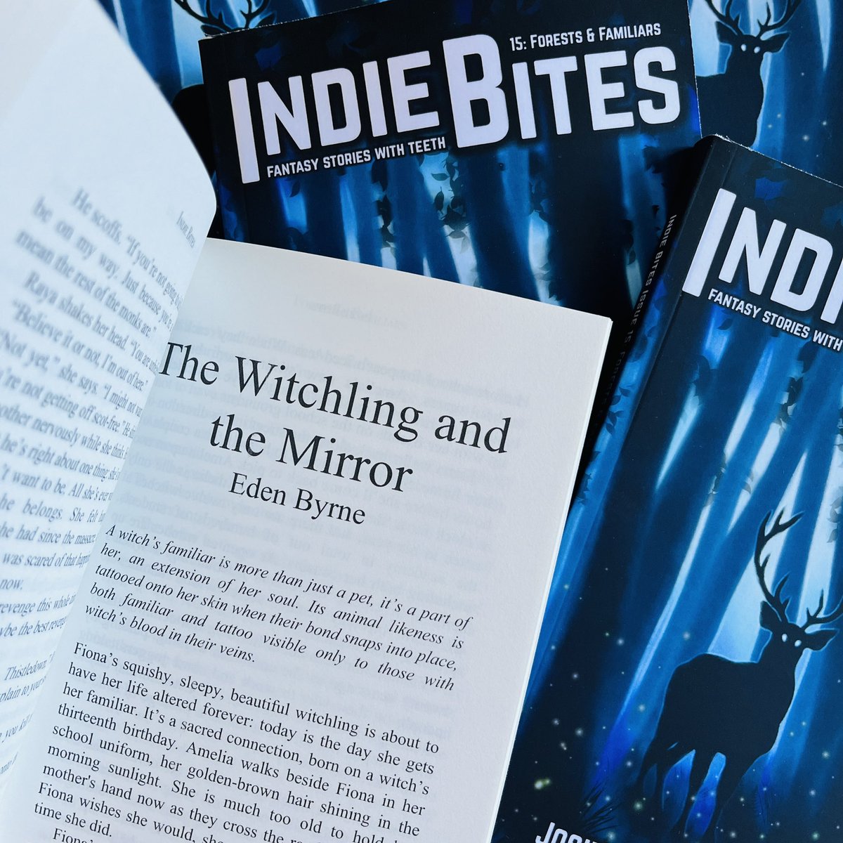 Fiona’s squishy, sleepy, beautiful witchling is about to have her life altered forever: today is the day she gets her familiar.
📖
The Witchling and the Mirror by Eden Byrne is FREE in Indie Bites 15!

silversunbooks.com/post/forests-f…