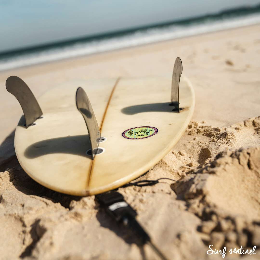 SurfSentinel tweet picture