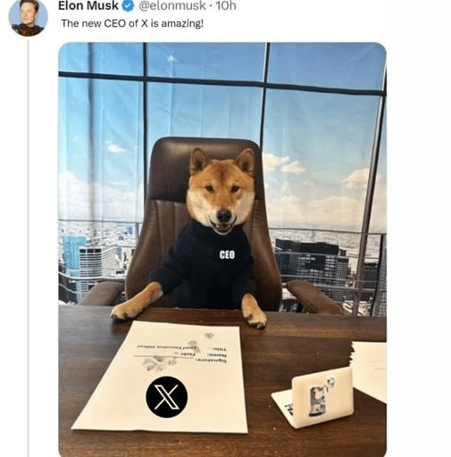 Peanut tweet media