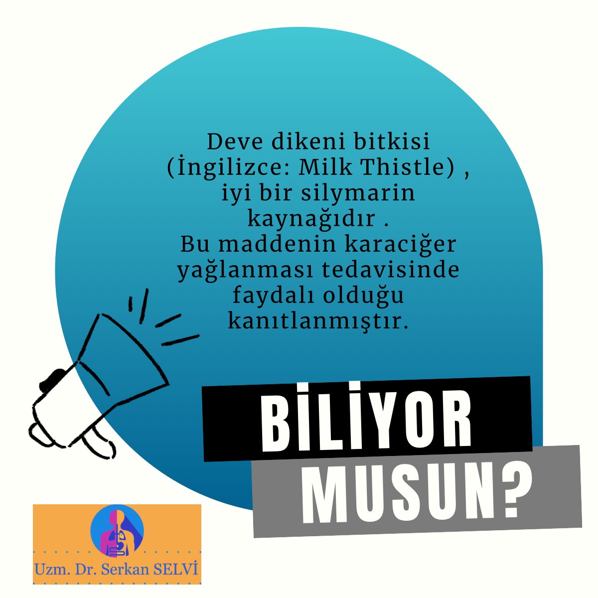 Silymarin takviye ederken güvenilir üretici ve doğru doza dikkat edilmesi gerekmektedir . 

Bu takviye her hasta için uygun olmayabilir . Karaciğer yağlanması sorunu yaşıyorsanız, İç Hastalıkları hekimlerini ziyaret edin.