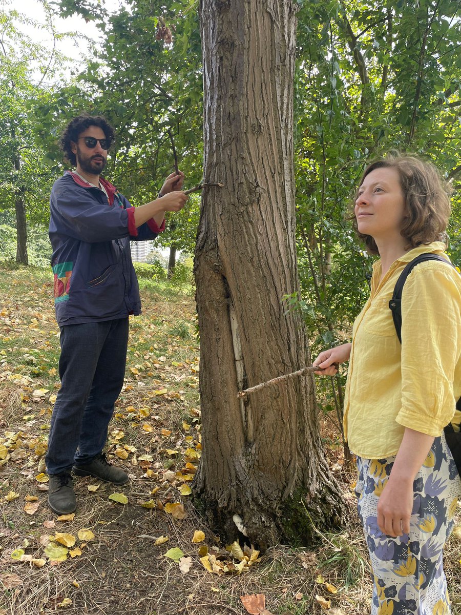 The amazing <a href="/CoMA_NewMusic/">CoMA</a> team in action at the Facilitator Training Workshop for the first UK performances of Little Woodland Heights in 2024/5 🌿