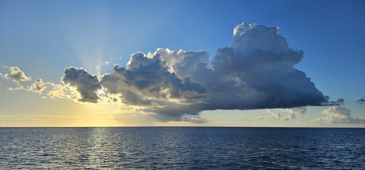 Darko201089's tweet photo. Sunset in Barbados over the ocean 🥵😍 https://t.co/WozpsUM1uP
