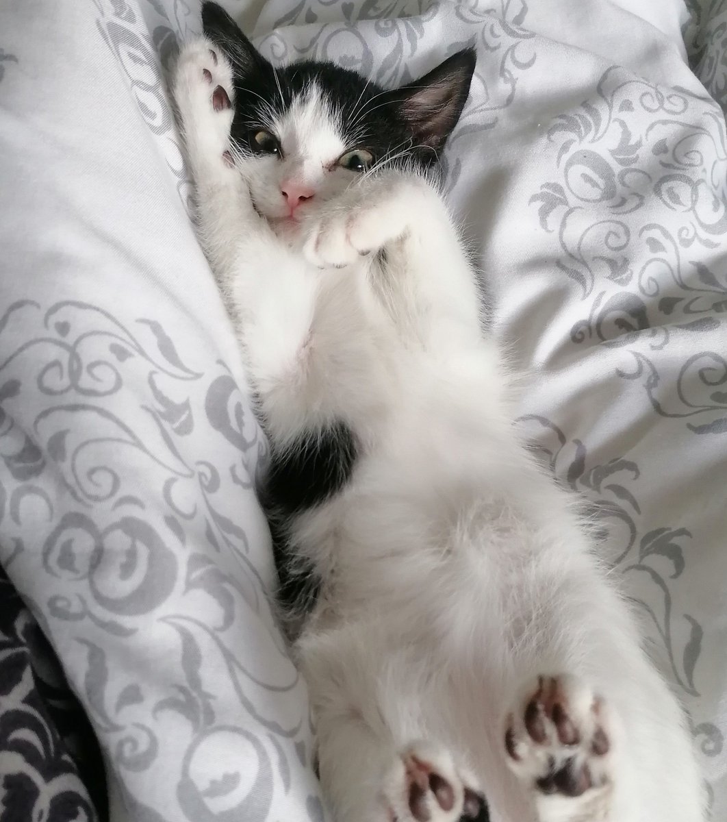 Allen ganz viel Spaß auf der Gamescom und schlagt bitte <a href="/BlackLink1996/">Mo</a> für mich (nicht fragen, der Junge hats verdient)