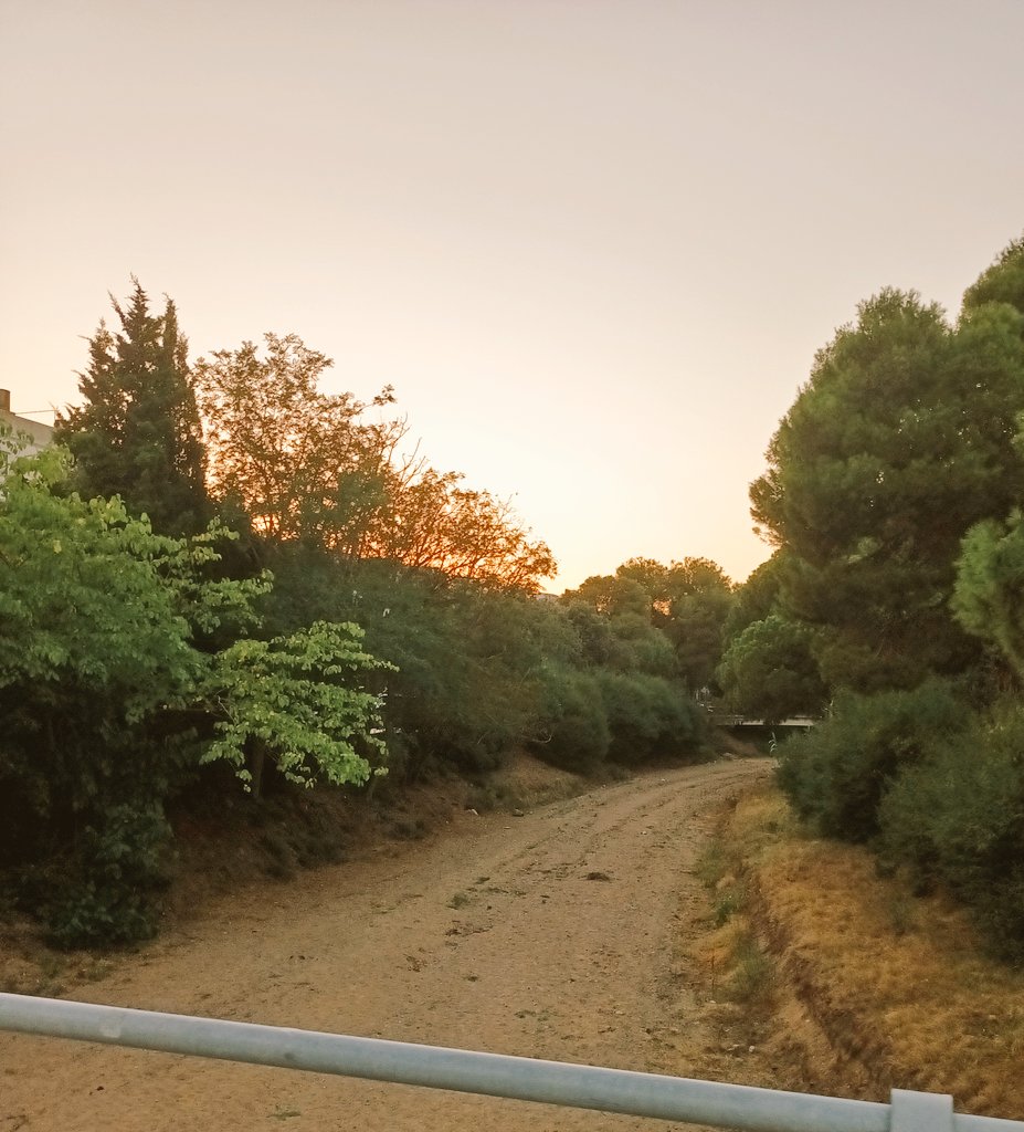 lover__poetic's tweet photo. dry earth
only the memory 
of splashing

#vss365 #dry #haiku 📷 my photo https://t.co/h380aGqRUk