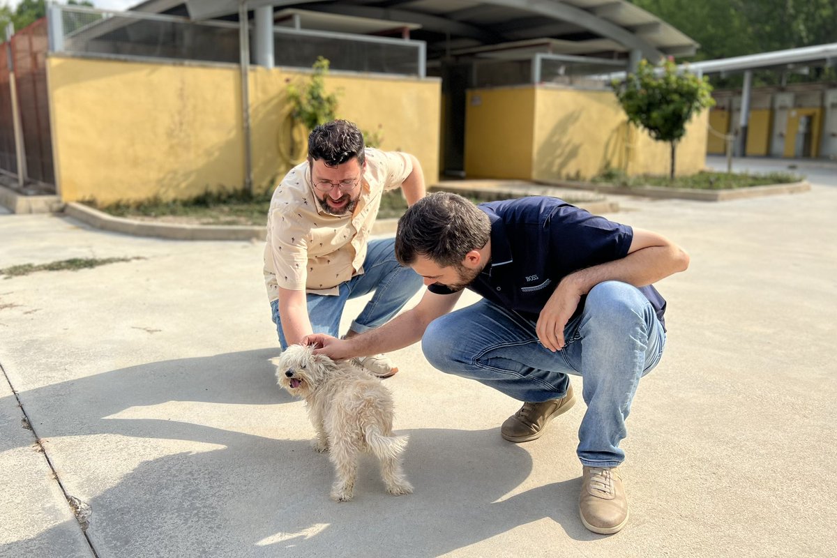 🐶 El vicealcalde, Àlex Cerradelo, i el regidor de Salut Pública, Carles Sansalvador, han visitat l’Alberg Municipal d’Animals.

👉 Han aprofitat aquestes dates, sensibles pel que fa a l’abandonament de mascotes, per conéixer la gran tasca que es realitza pel benestar animal.