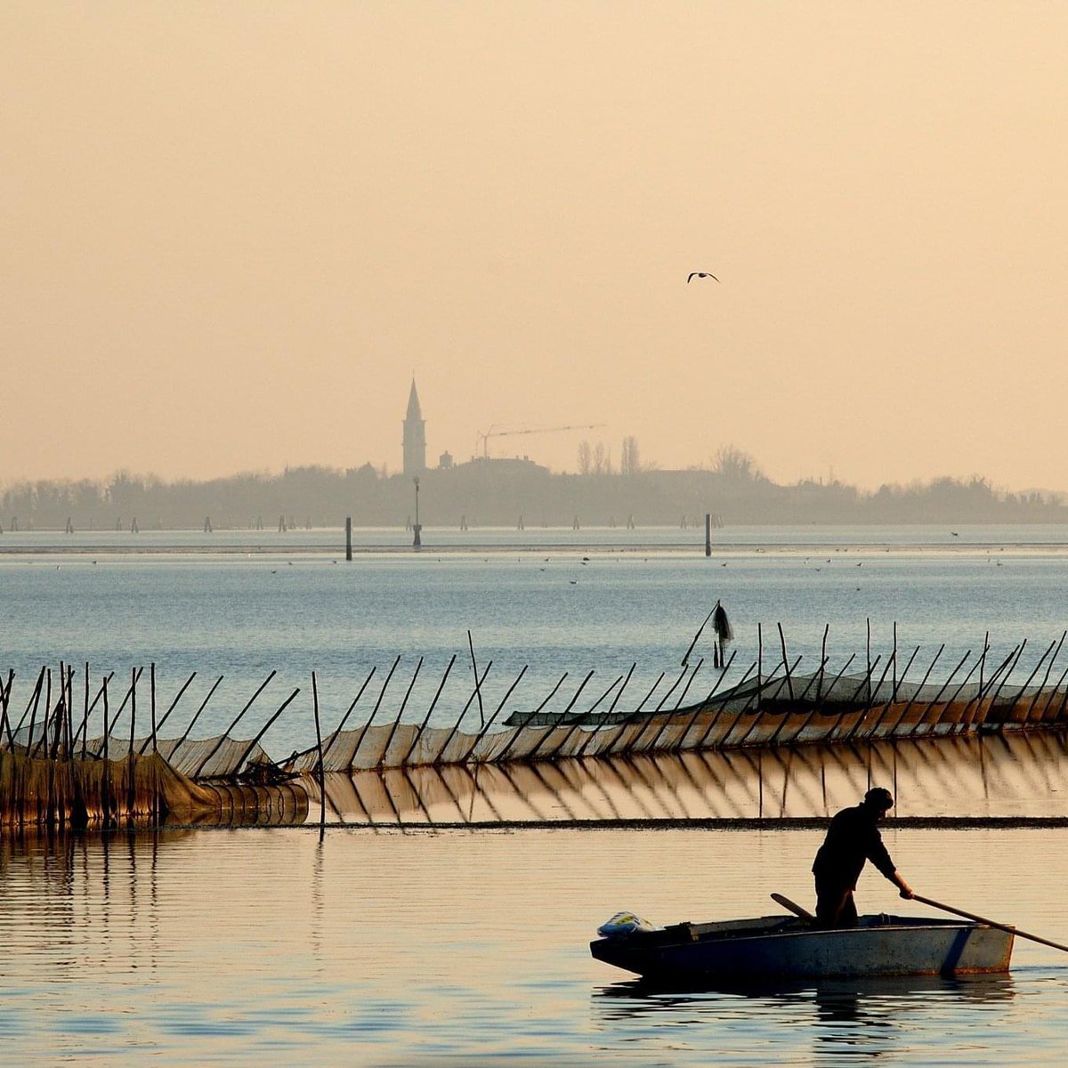 #VeneziaPerImmagini

📸 Buongiorno da #Pellestrina!

🌊 Buon lunedì #26agosto e buon inizio settimana!

<a href="/detourismvenice/">Detourism Venezia</a> <a href="/veneziaunica/">Venezia Unica</a> <a href="/TurismoVeneto/">Visit Veneto</a>