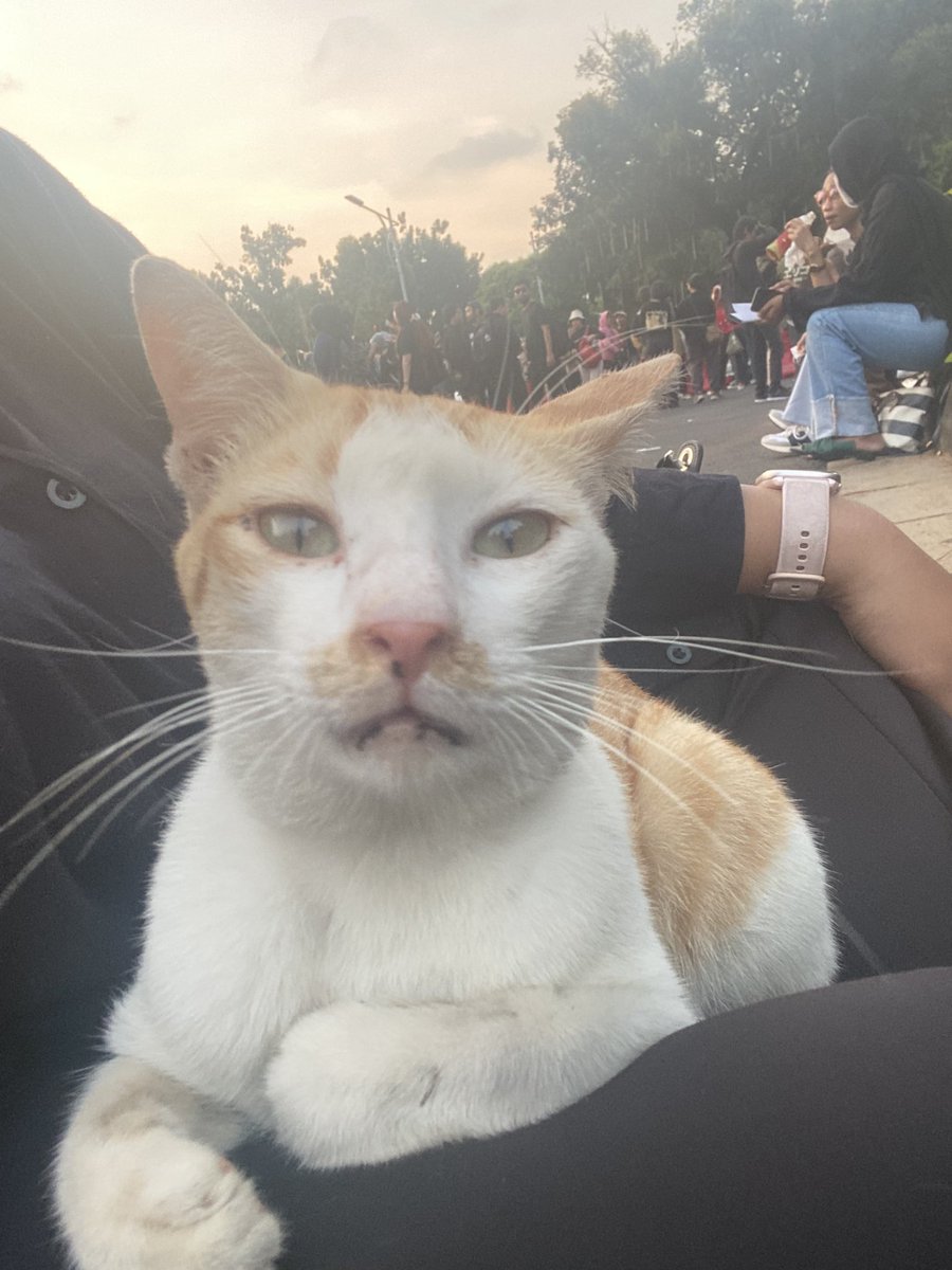 dayeqt's tweet photo. Padahal tempat banyak yg kosong, dek. https://t.co/kGxcNb7lwj