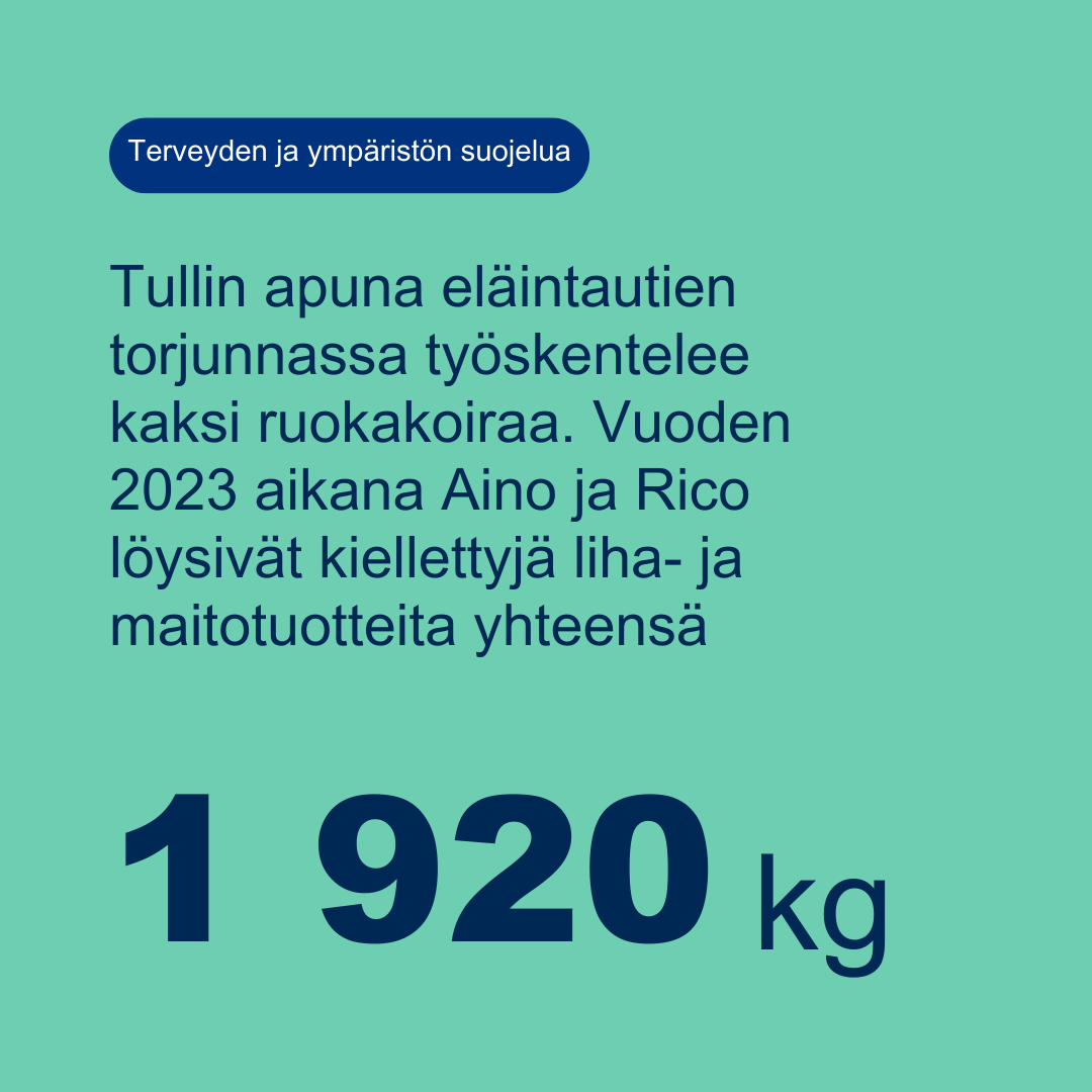 SuomenTulli's tweet photo. 1/2 ”Onko sinulla matkalaukussa makkaraa?” 🌭
2023 aikana ruokakoiramme löysivät yht. 1920 kg kiellettyjä liha- ja maitotuotteita. Mukana oli esim. savustettua piikkisikaa, kuivattua kamelia ja pakastettuja pingviinejä.
https://t.co/aPqeKQDCkL
#TulliTurvaa #vastuullisuus #ASF https://t.co/vYlcmfrv6I