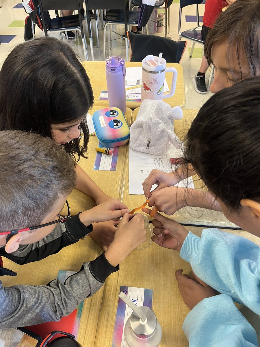 Mrs. Tidwell tweet media