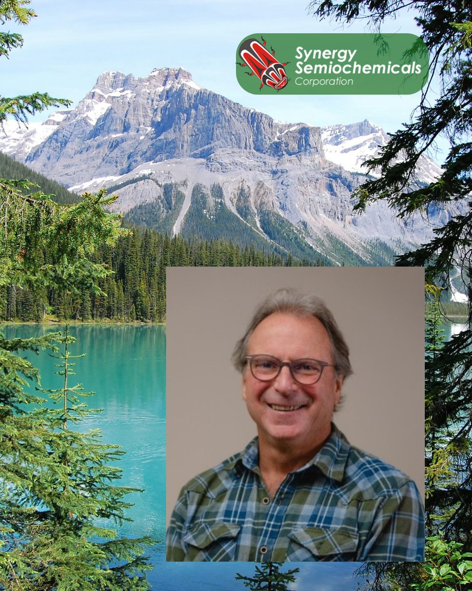 🌲 Watch Bob Setter’s insightful presentation at #ISCE2024 in Prague on using semiochemicals to protect coniferous forests from bark beetles: youtu.be/8AY_hupVuks 🌍🎥Thanks to Synergy Semiochemicals for their cooperation and support!
#ForestProtection #Resdinet