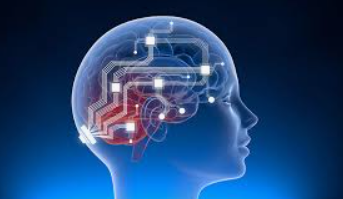 solbet_official's tweet photo. NeuroLinkX (NEUROL-X) - A decentralized platform for advanced neural interfaces, AI-driven cognitive computing, and brain-computer technologies, growing with advancements in artificial intelligence and neural science. #NeuroLinkX #NEUROLX $NEUROL-X https://t.co/Yx2uhUmVyQ https://t.co/Pcfn4Bijrp