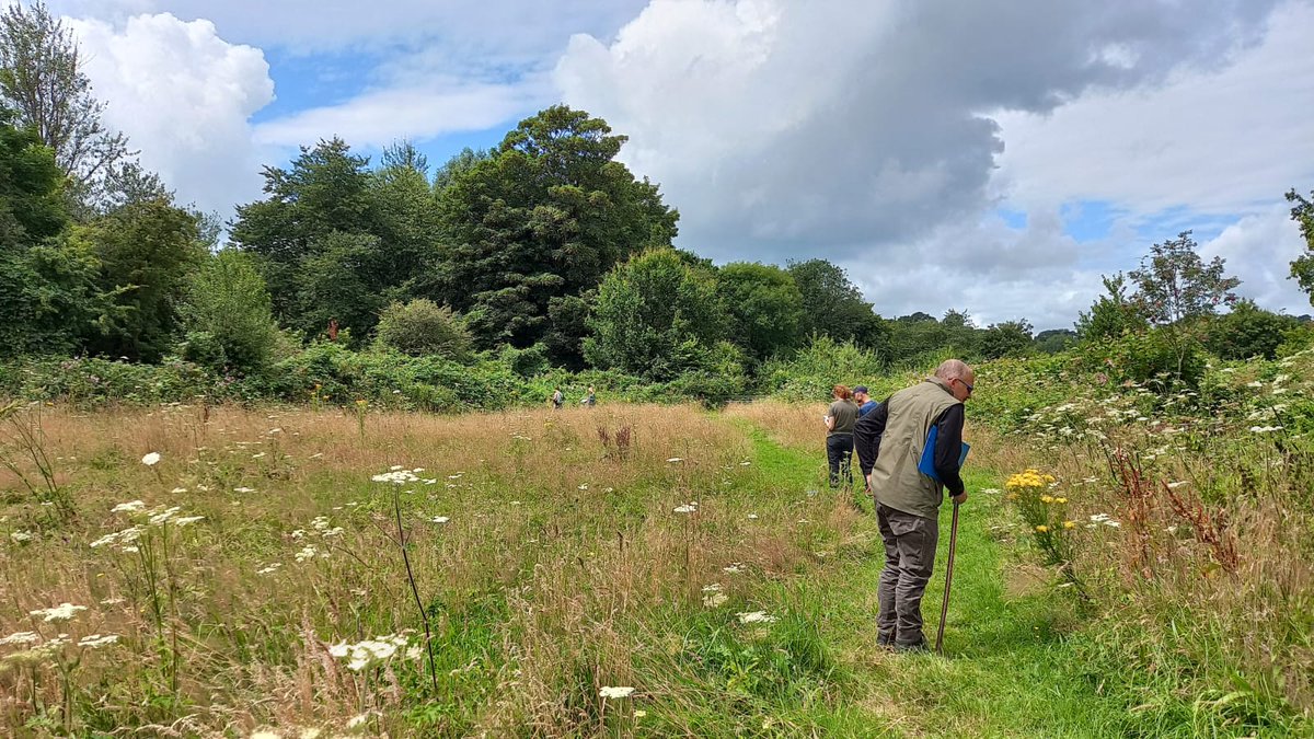 Buzz_dont_tweet's tweet photo. Recently our #BuglifeCymru #CardiffLNP Scheme Conservation Officer, B, had some pollinator fun at #ForestFarm, #Cardiff.

🔎 With a morning of pollinator ID &amp; @PoMScheme Flower-Insect Timed (FIT) counts

👏 Diolch yn fawr iawn i bawb a ymunodd â ni

🧵/1 https://t.co/gY6hLIZHpl
