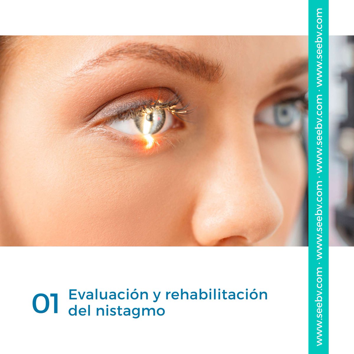 𝕊𝔼𝔼𝔹𝕍 𝕋𝕖𝕝𝕖𝕗𝕠𝕟𝕠 𝕕𝕖 𝕝𝕒 𝕧𝕚𝕤𝕚𝕠𝕟 tweet media