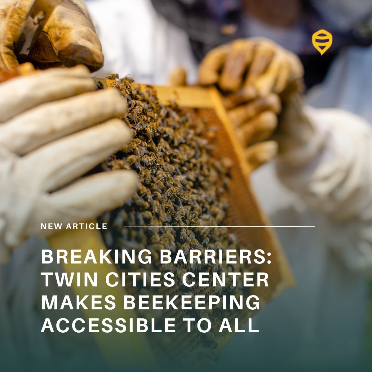 “They now have a garden full of pollinators and another benefit: many jars of honey.” 

📖 buff.ly/3McVtbe