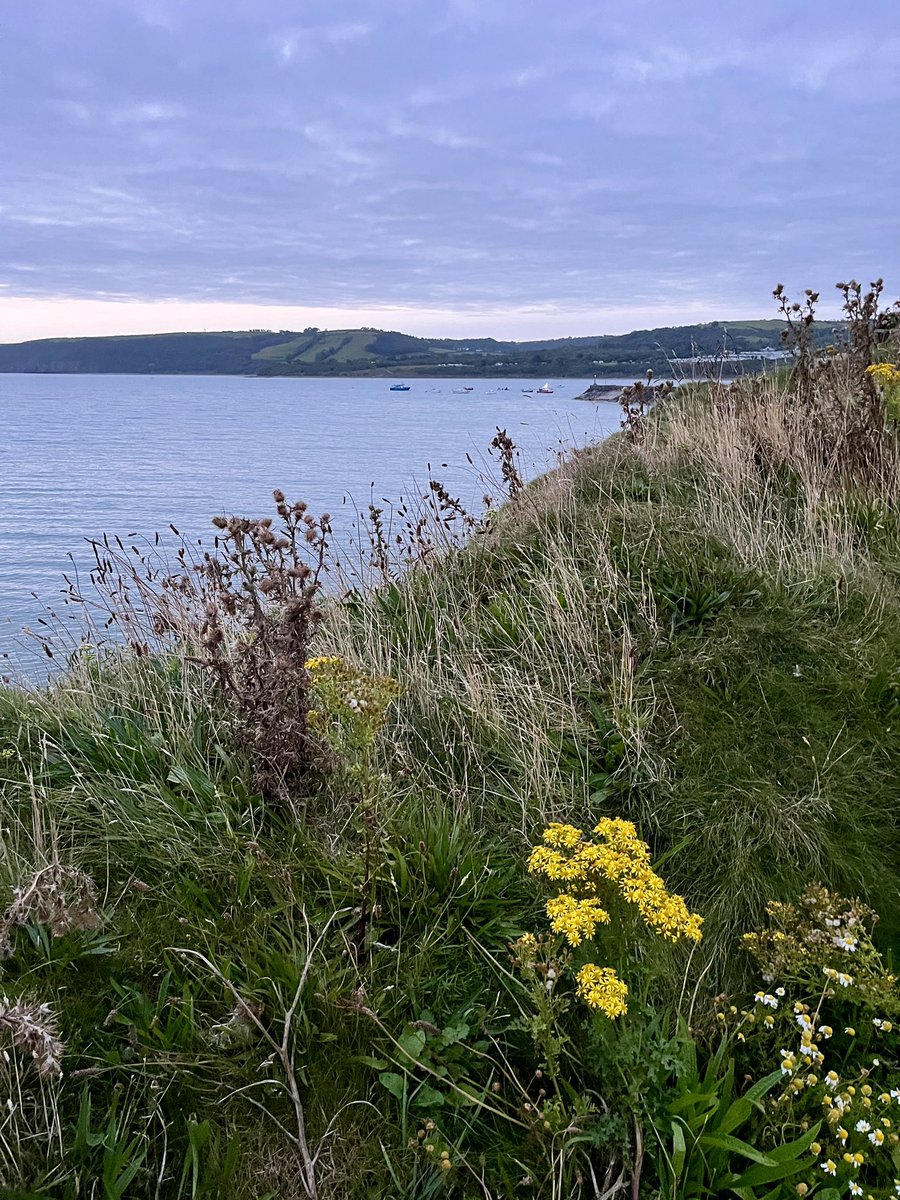 A few photos I’ve snapped on my phone either before work as the sun is rising or during a coffee break. New Quay / Cardigan Bay