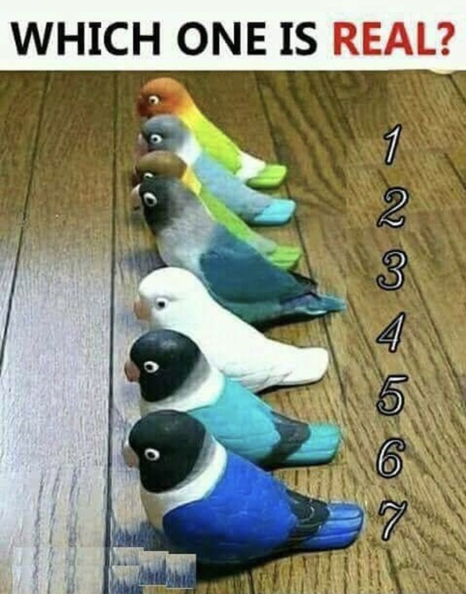 𝐌𝐚𝐭𝐭 𝐏𝐢𝐧𝐧𝐞𝐫 tweet media