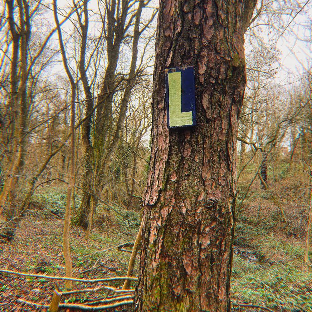 CHAPERONE 

NEW TUNE BY ME OUT NOW, LINK IN BIO XXX