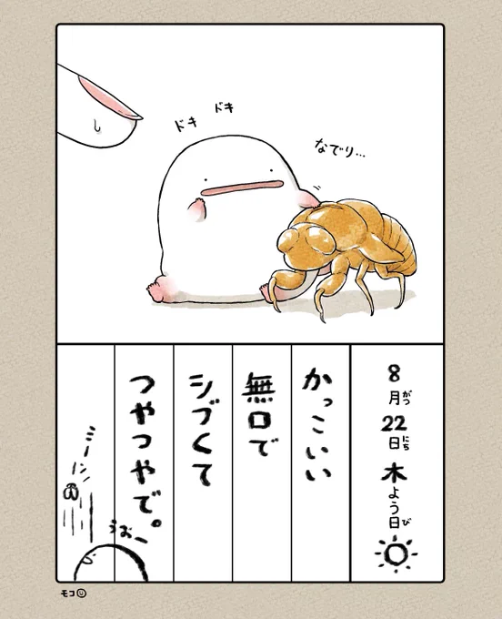 8月22日(木)☀️
ーーーーー
うおマロ、寡黙な友だち?

かっこいい 無口でシブくて つやつやで。

ーーーーー

#うおマロ絵日記 