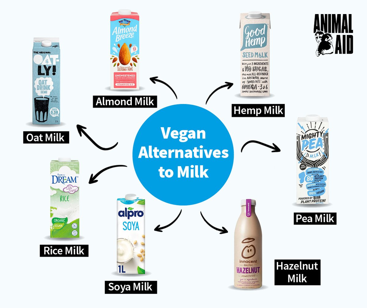 What's your favorite plant-based milk? 🥛 #WorldPlantMilkDay #PlantMilkDay