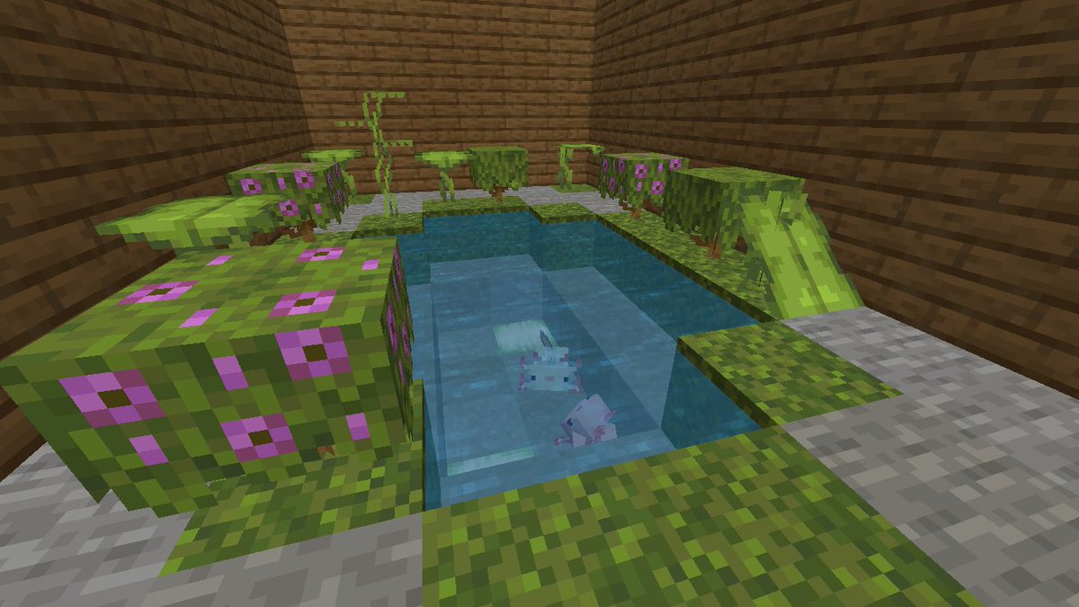 ぴーすけ tweet media