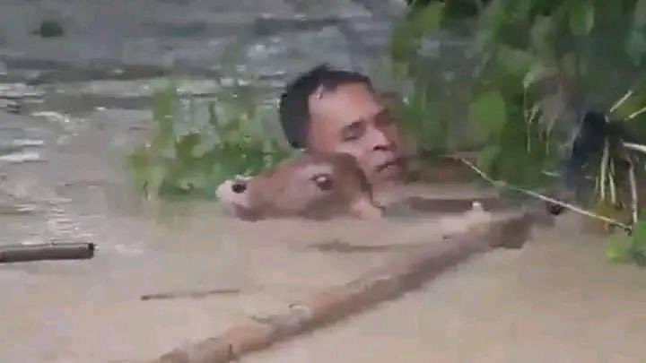 SoniaSusan11's tweet image. India opened the dam in Tripura without noticing Bangladesh ,now Bangladesh is flooded. 
#inhuman #unkind #unisef #HumanRightsViolations