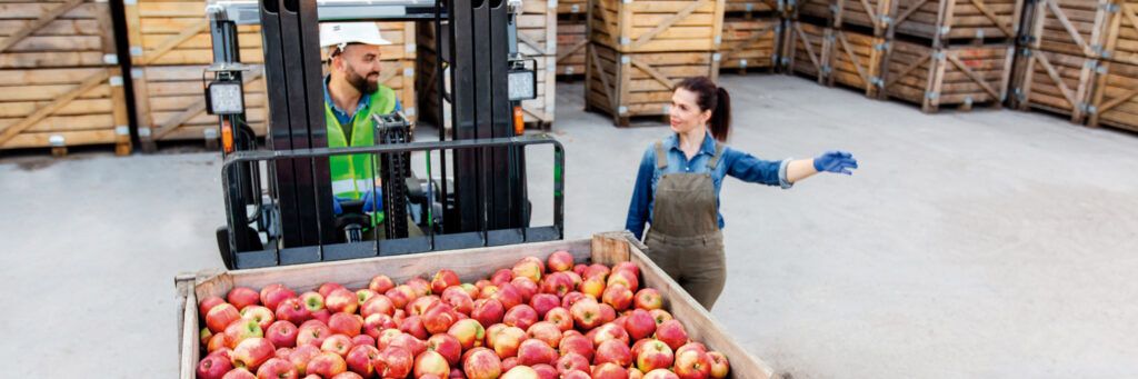 Cada vez mais presente nas propriedades rurais, equipamento auxilia na organização e no transporte de insumos agropecuários. Confira 👇 buff.ly/4fOy7WV
