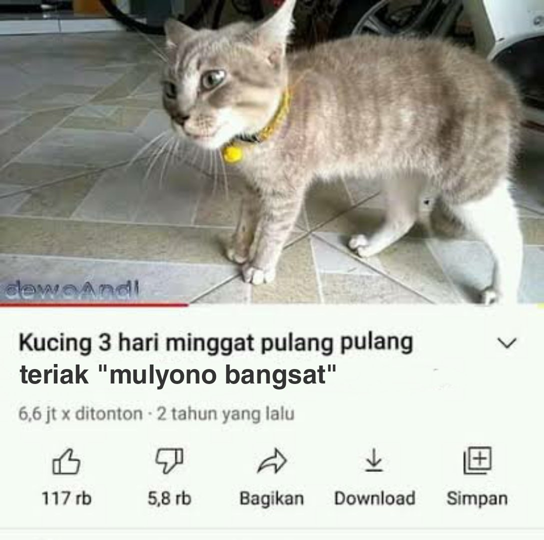 #KawalPutusanMk