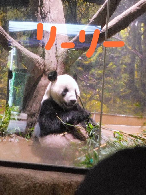 Twitterのコスプレ画像29