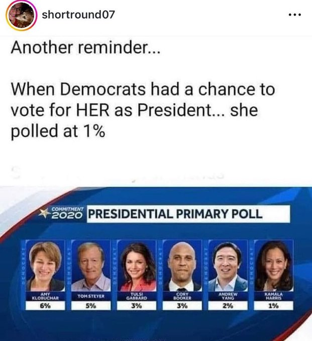 The Democratic Party

Kamala Harris was the least popular candidate in her own Party's Primary in 2020 and is one of the most unpopular VP's in American History, but the polls say she's leading Donald Trump and likely to win... 

I call bullshit here. 🤔

#HarrisWalzLandslide2024