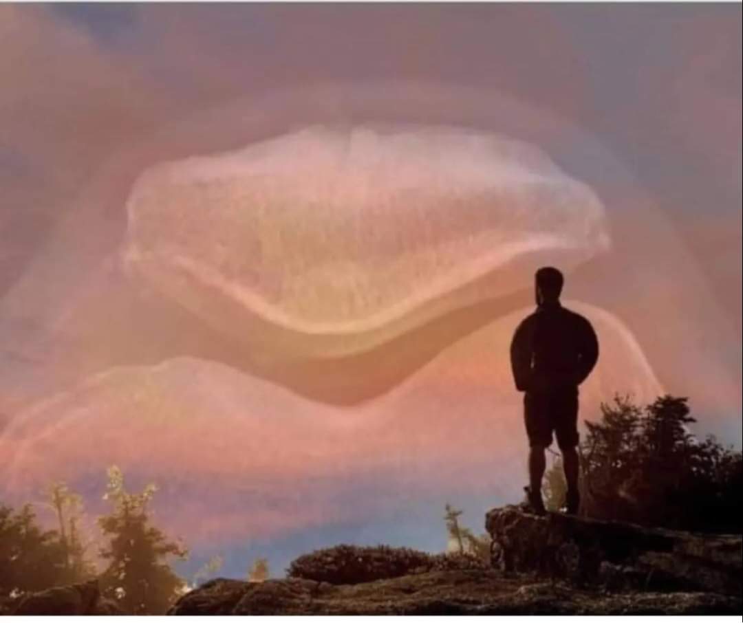 Röntgensjuksköterskor tweet media