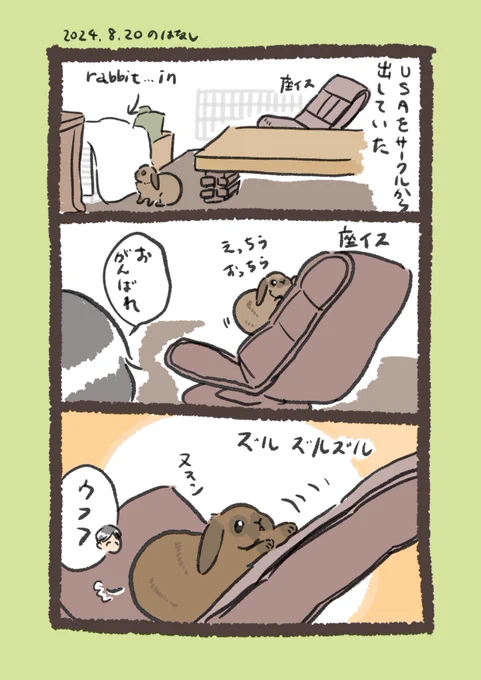 座椅子登頂なるか⁉︎

#うさぎのいる生活 