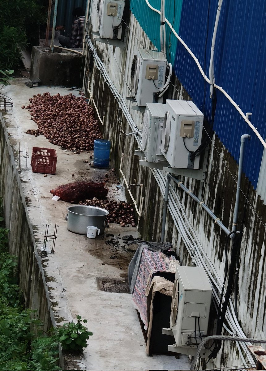 HPRForever's tweet photo. Spoiled ingredients are used by Santhosh Family Dhaba in Gandi Maisamma Hyderabad. It's nothing but playing with people's health. Don't know what the authorities are doing @cfs_telangana @Collector_MDL https://t.co/jJEgdEDrqE