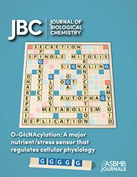 jbc.org/thematic-o-glc…