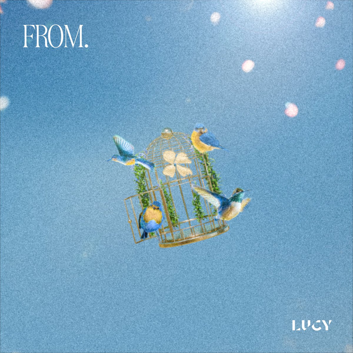 koreansales_twt's tweet photo. [HT] LUCY (@BANDLUCY_mystic) 5th Mini Album <FROM.> 

DAY 1: 3,667
DAY 2: 0,604
DAY 3: 0,351
DAY 4: 10,293
DAY 5: 11,129
DAY 6: 09,502 
DAY 7: 19,363 *still counting*

TOTAL: 54,909 *still counting*

It's their highest 1st week sales. 

#LUCY #루시 https://t.co/inHpf8Y0hM