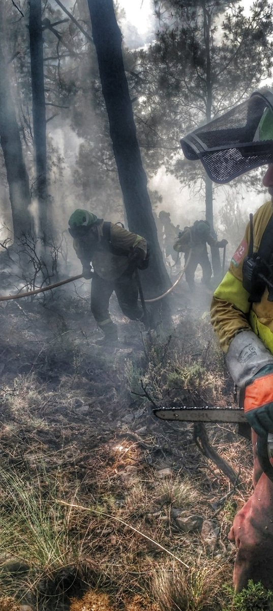 SandezSndez1's tweet photo. Si no hay compañerismo no hay equipo.

Seguridad, eficacia, rendimiento, todo mejora cuando se trabaja en equipo.

Debería ser la primera lección en la formación sobre el trabajo a pie de llama en la extinción de incendios forestales. https://t.co/sSqQPKoDq9