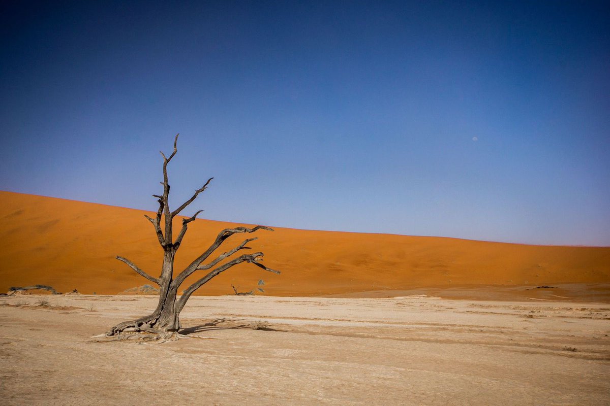 lecalabash's tweet photo. Embark on an extraordinary journey through Africa in 2025 ☀️

For more details about this awesome trip visit our new website here - https://t.co/QKmaI4Mv3z

Contact us here for bookings and inquiries: 
✉️bonds@lecalabash.co.za 📲+33 (0)6.87.88.70.28 
📞 +33 (0)2.47.94.34.31 https://t.co/9yyNU1AMDc