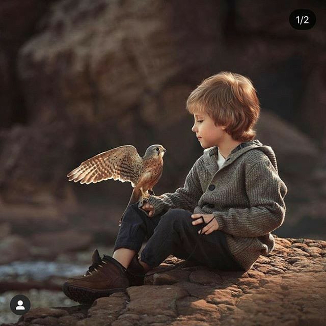 *دنیا کا خوبصورت ترین شخص وہ ہے* 

*جسے مشکل میں آواز دینا آسان ہو ♥️*