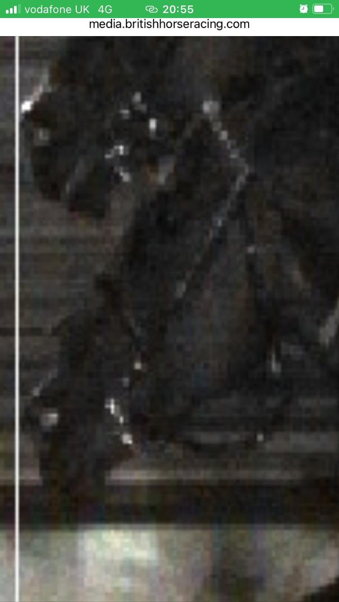 Luke harvey tweet media