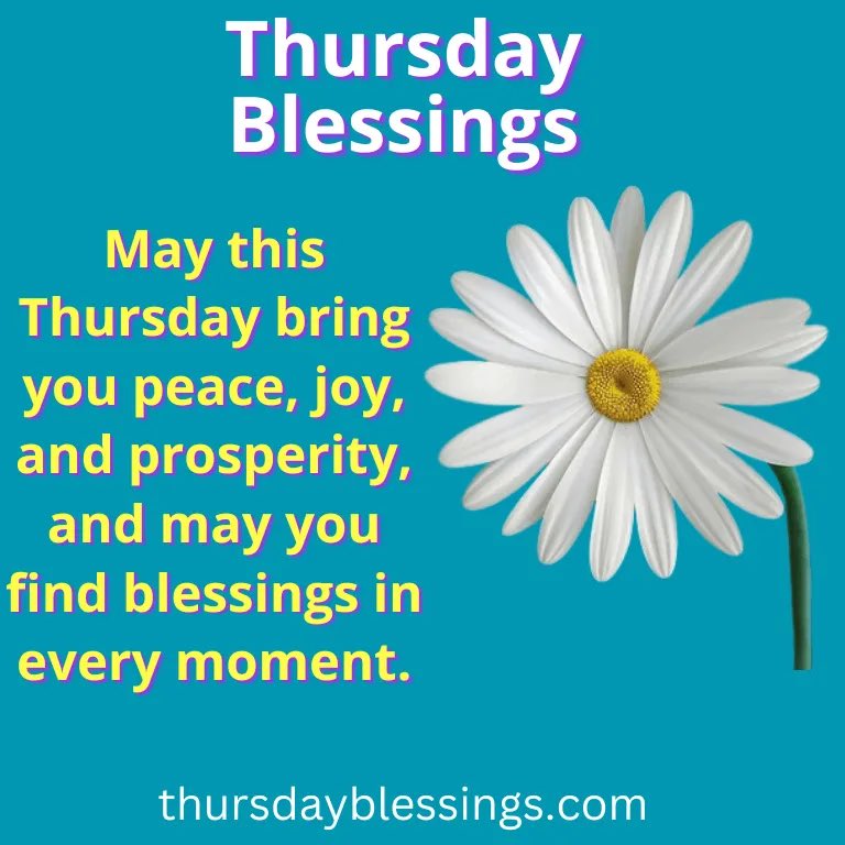 Happy Thankful Thursday! ☀️ 😃 🙏🏻 
#positivity #motivation #thankful #grateful #gratitude #blessings #positivethoughts #positivethinking