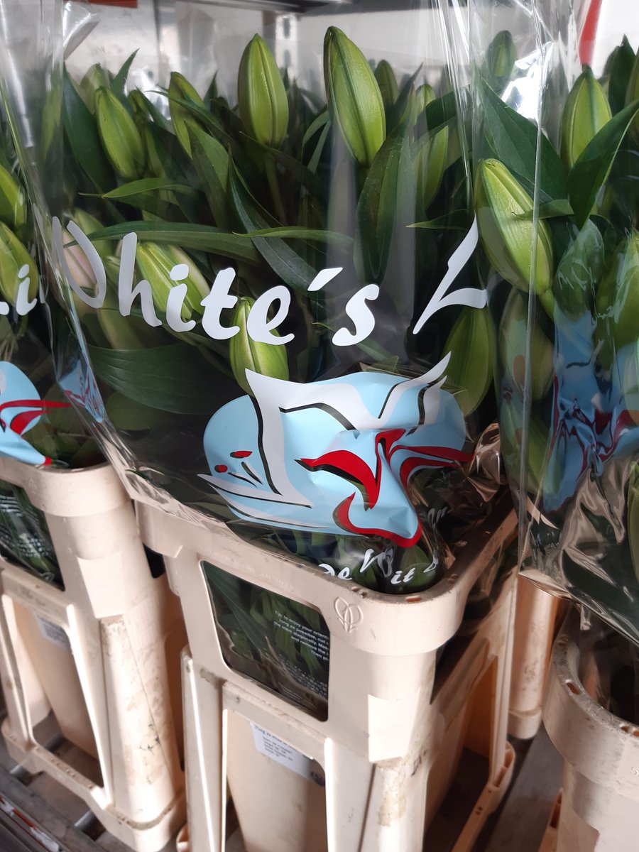 Erwin pakt ze zelf in  en dan op weg naar de klok !