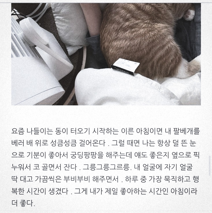 sunghoonpx's tweet image. A subtle nod, a fleeting glance, every moment stitched into the fabric of the night. It’s more than just the fit—it’s about the unspoken grace that lingers in the air.