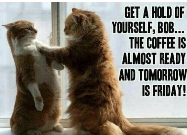 Happy Thursday!👋

🔅Blueberry scones are hot! 🫐

Open today 8-4  check us out online hojoe.ca!