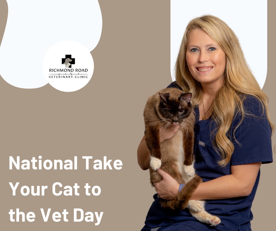 RichmondRoadVet's tweet image. Show your furry friend some love by making sure they stay healthy and happy 🐱💙 

Schedule a visit: kentuckyveterinarypracticegroup.com/richmond-road/

#CatHealthMatters #VetDay #FurryFriends #kentuckyveterinarypracticegroup #richmondroad #vet #veterinary #vetclinic #lexington #kentucky #lexky #centralky